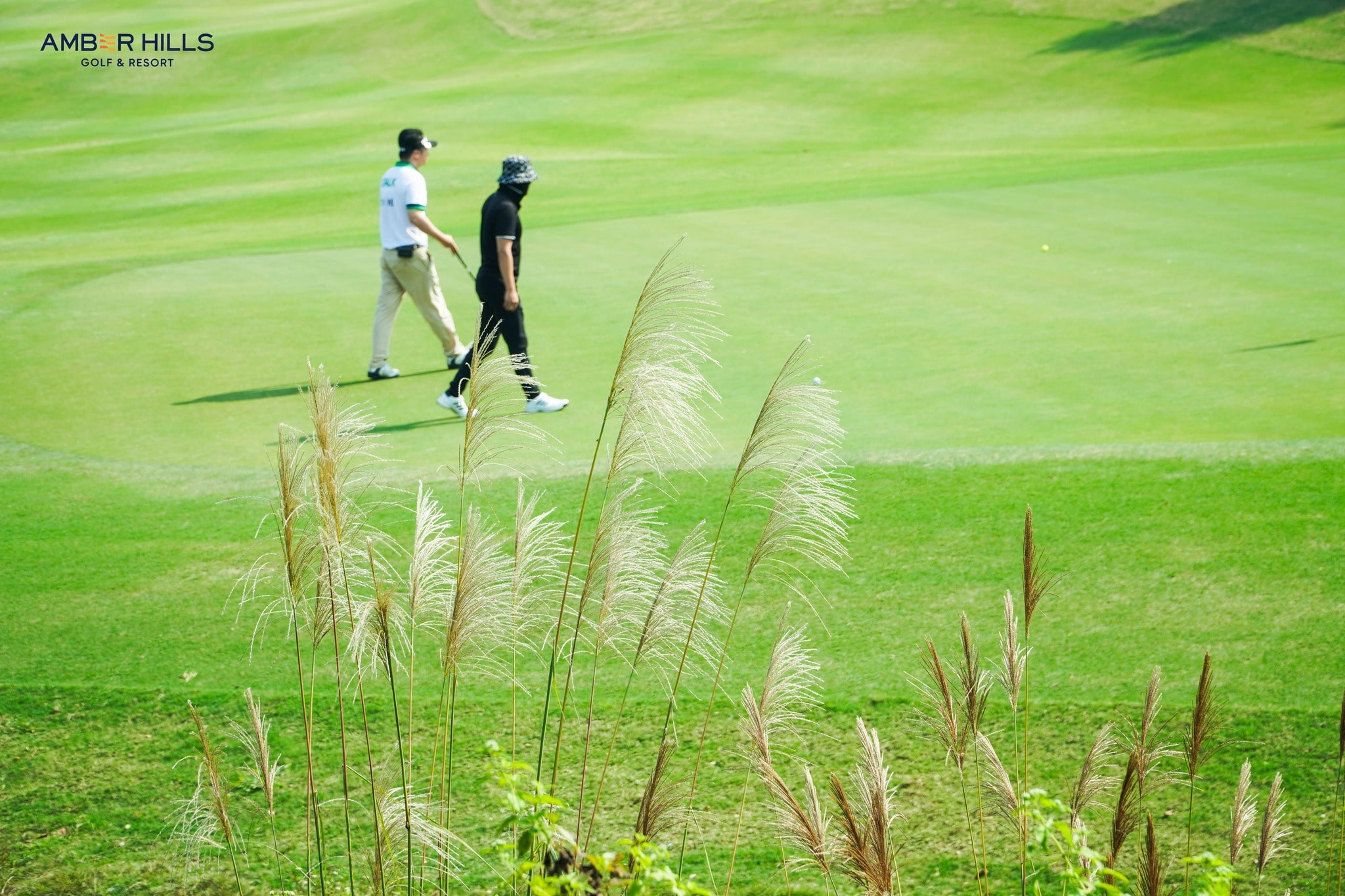 Amber Hill Golf Resort