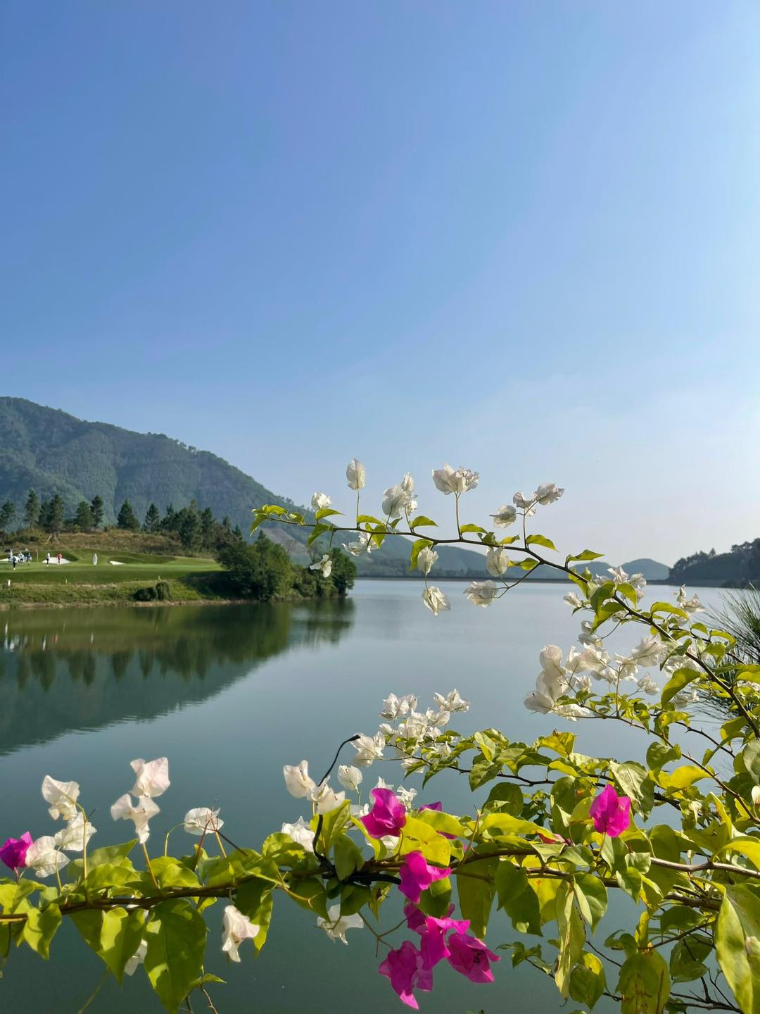 타인란 밸리 골프 & 리조트